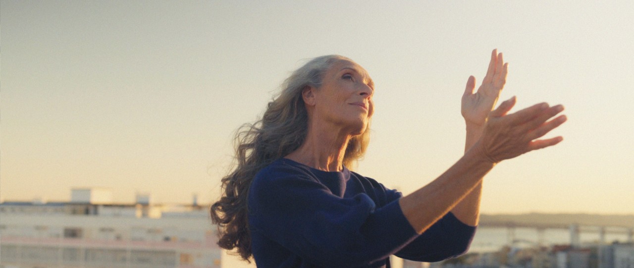 A beleza não tem Idade